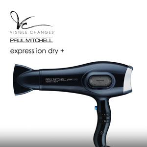 Express Ion Dry + Blow Dryer